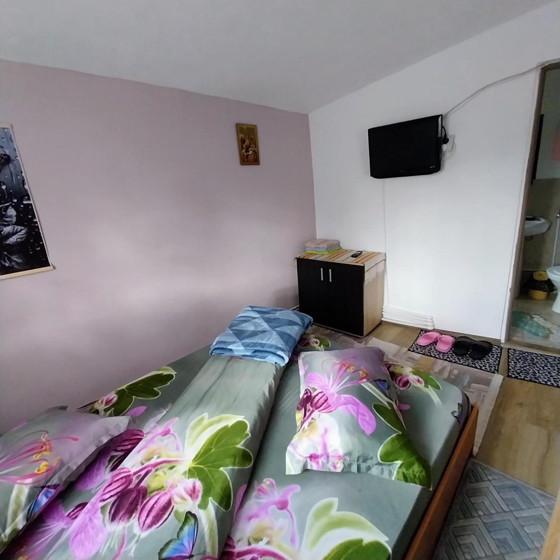 Casa Andreea Hotel โนวาชิ-สเตรยนี ภายนอก รูปภาพ