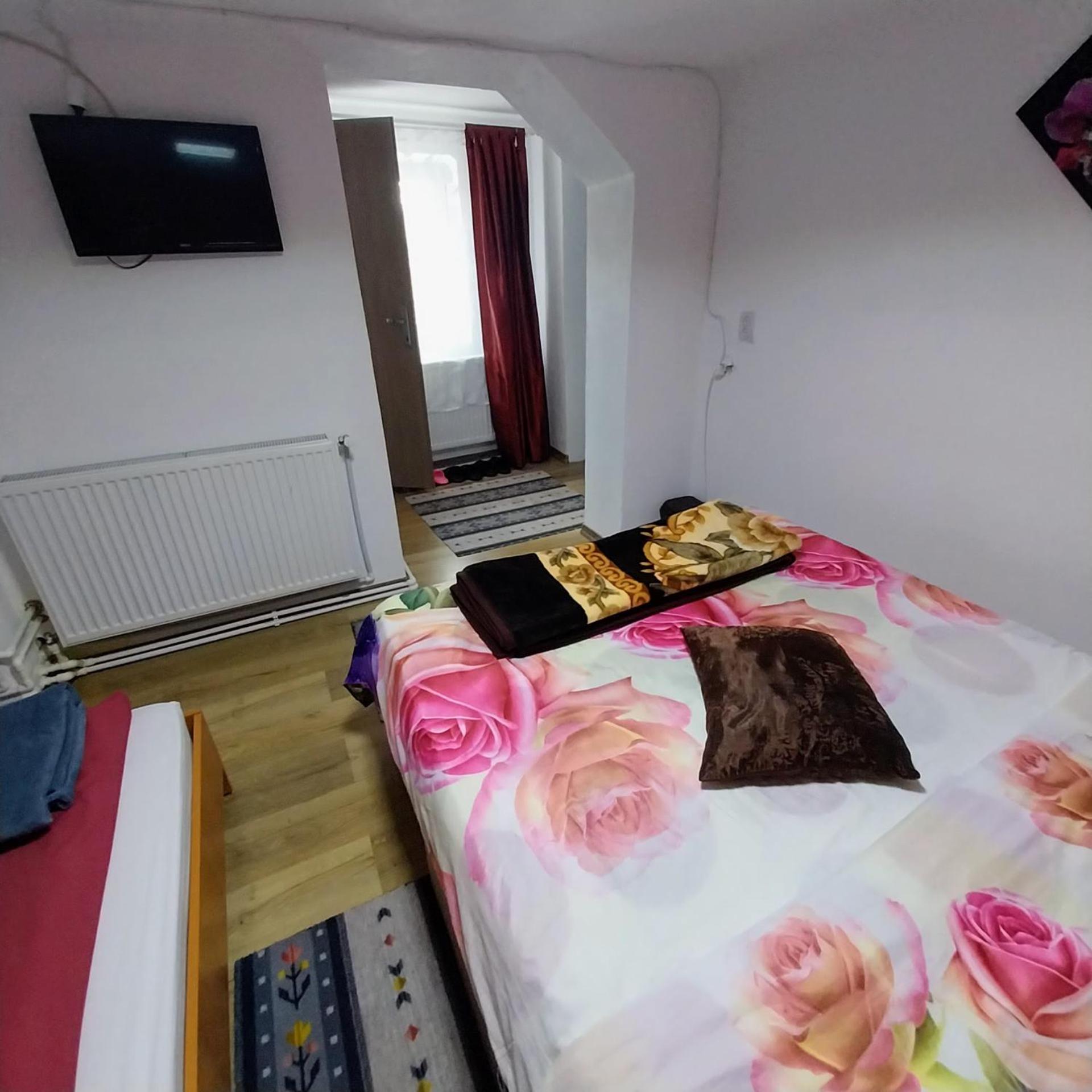 Casa Andreea Hotel โนวาชิ-สเตรยนี ภายนอก รูปภาพ