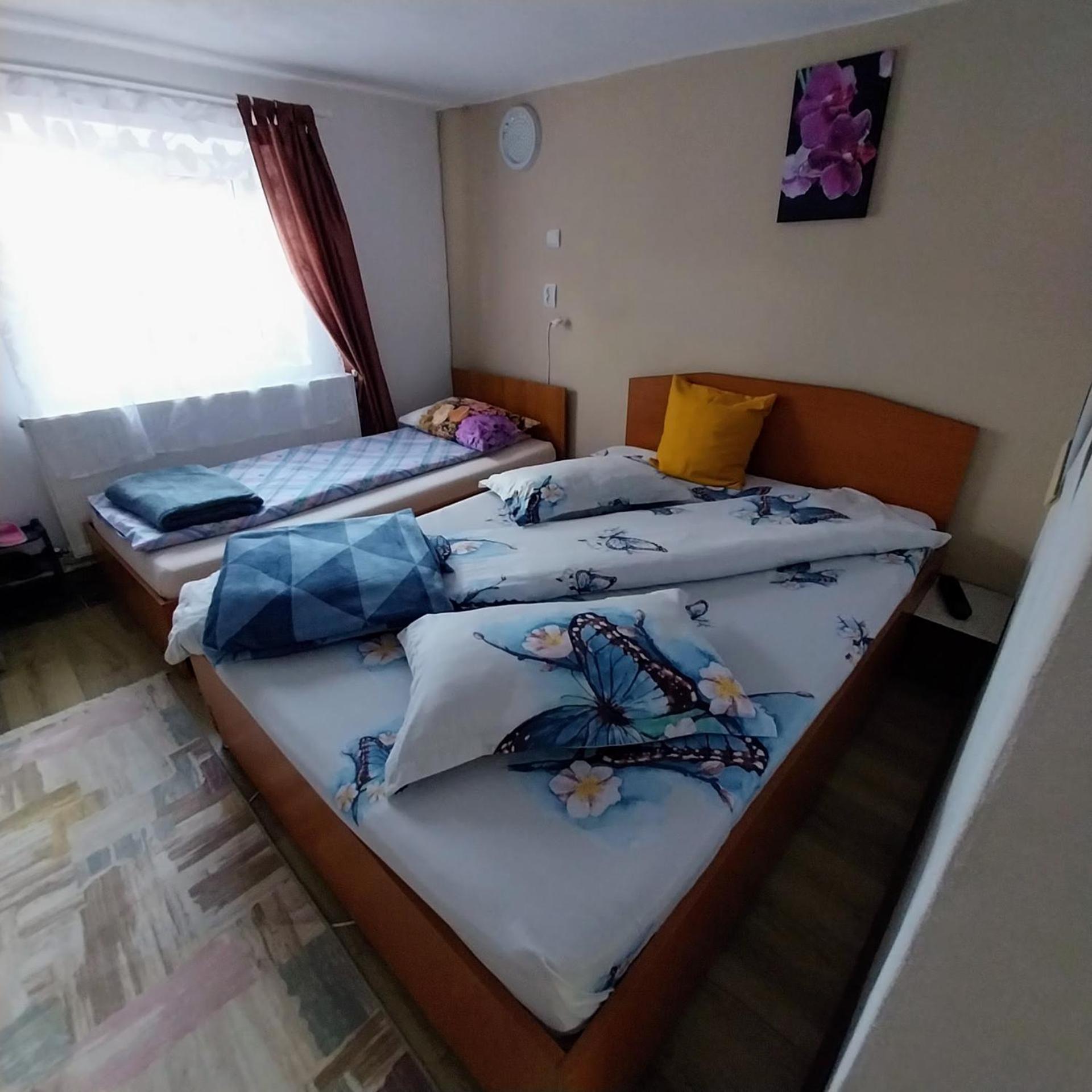 Casa Andreea Hotel โนวาชิ-สเตรยนี ภายนอก รูปภาพ
